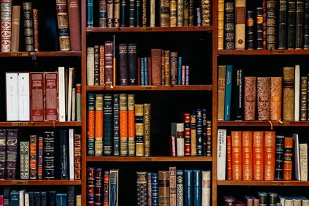 inaki-del-olmo-602632-unsplash
